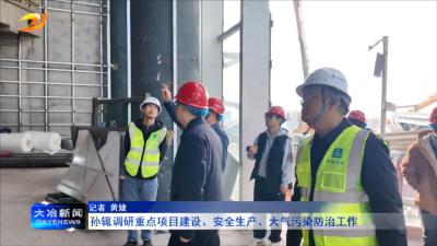 孙辄调研重点项目建设、安全生产、大气污染防治工作
