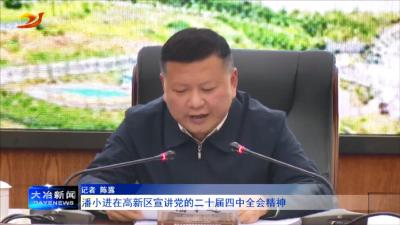 潘小进在高新区宣讲党的二十届四中全会精神 