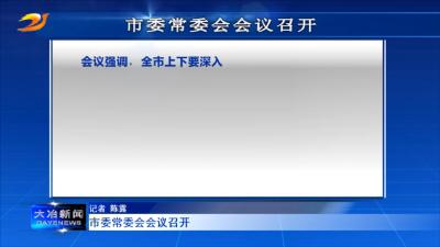 市委常委会会议召开