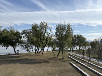 【聚焦支点建设·聚力五大攻坚 品质提升】“城市客厅”让幸福触手可及