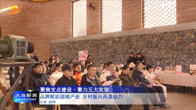 品牌赋能甜桃产业 乡村振兴再添动力