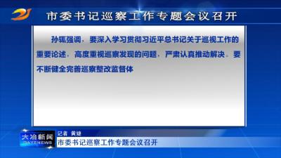 市委书记巡察工作专题会议召开