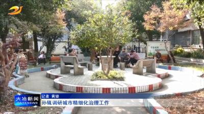 孙辄调研城市精细化治理工作