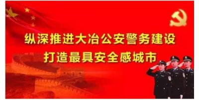 大冶市公安局单位概况