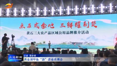 黄金湖甲鱼“游”进省农博会