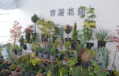 【大冶“兴”农人】龙凤山上园艺梦