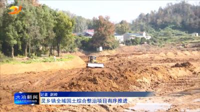 灵乡镇全域国土综合整治项目有序推进 