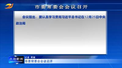 市委常委会会议召开