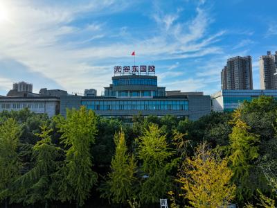 湖北光谷东控股集团公司机构设置