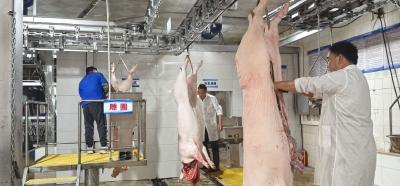 市民“肉篮子”更稳更安心 市肉联厂通过生猪屠宰GMP验收