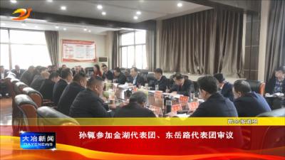 孙辄参加金湖代表团、东岳路代表团审议