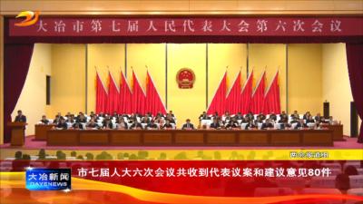市七届人大六次会议共收到代表议案和建议意见80件