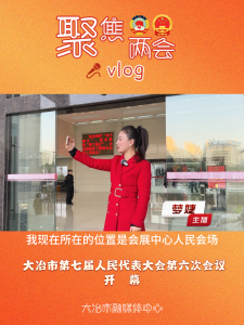 大冶市第七届人民代表大会第六次会议开幕vlog