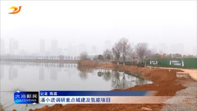 潘小进调研重点城建及氢能项目