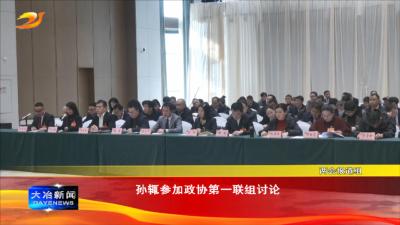 孙辄参加政协第一联组讨论