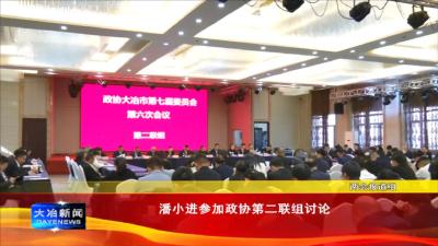 潘小进参加政协第二联组讨论