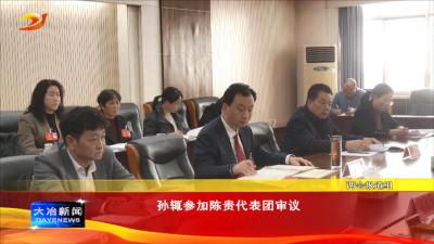 孙辄参加陈贵代表团审议