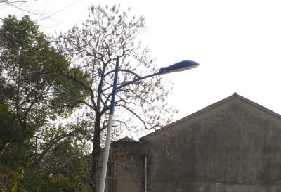 湾组主路10盏路灯集体“罢工” 村民期盼春节回家路灯“复明”