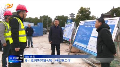 潘小进调研河湖长制、林长制工作