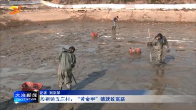 殷祖镇五庄村：“黄金甲”铺就致富路