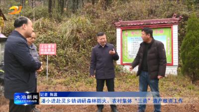 潘小进赴灵乡镇调研森林防火、农村集体“三资”清产核资工作