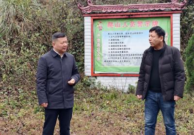 潘小进赴灵乡镇调研森林防火、农村集体“三资”清产核资工作