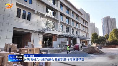 孙辄调研文化创新融合发展攻坚行动推进情况