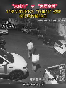 “未成年” ≠ “免罚金牌” 15岁少年因多次“拉车门”盗窃，被行政拘留10日。