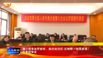 潘小进参加罗家桥、临空经济区还地桥（东风农场）代表团审议