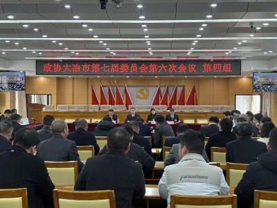 同心共话履职路 奋楫扬帆新征程——政协委员分组讨论政府工作报告等系列报告