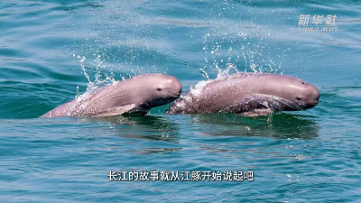 长江大保护十周年｜原来你是这样的宜昌