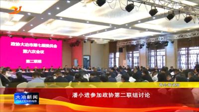 潘小进参加政协第二联组讨论