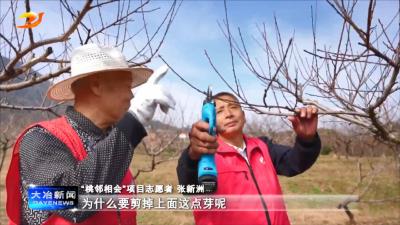 保安镇：以桃为媒的文明实践带