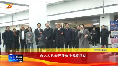 市人大代表开展集中视察活动