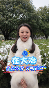 雪天路滑 文明出行