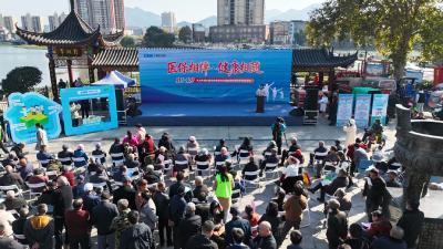 医保护航民生 绘就健康画卷