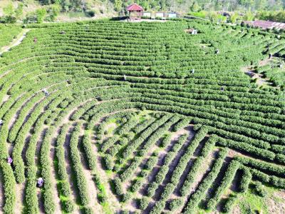 凝心聚力谋突破 砥砺奋进启新程——我市社会各界热议两会报告