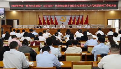 凝聚代表力量 践行使命担当——市人大常委会2025年代表工作回眸