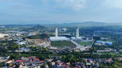 屏山复绿 产业新生——一片土地的“重生之路”