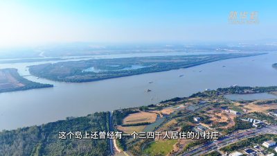长江大保护十周年｜南京江心神秘无人岛