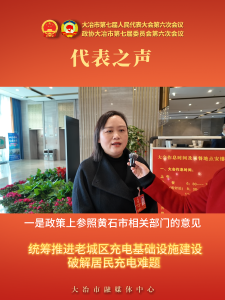 代表之声—人大代表 陈丽：统筹推进老城区充电基础设施建设，破解居民充电难题。