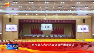 市七届人大六次会议召开预备会议