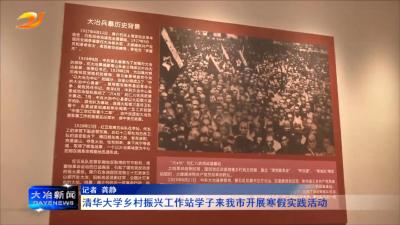 清华大学乡村振兴工作站学子来我市开展寒假实践活动