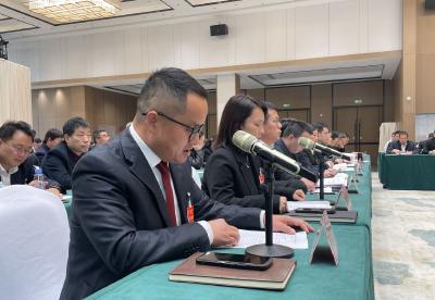 【委员之声】集智聚力谋发展 履职为民谱新篇