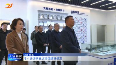 潘小进调研重点项目建设情况