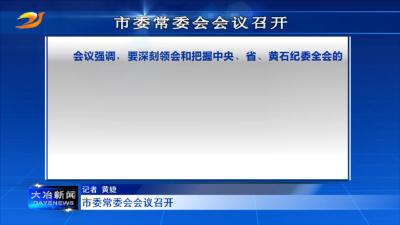 市委常委会会议召开