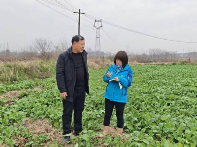 农技专家田间“问诊” 确保夏粮夏油丰产
