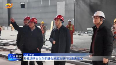 孙辄调研文化创新融合发展攻坚行动推进情况