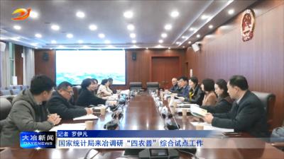 国家统计局来冶调研“四农普”综合试点工作