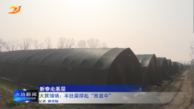 大箕铺镇：羊肚菌撑起“致富伞”